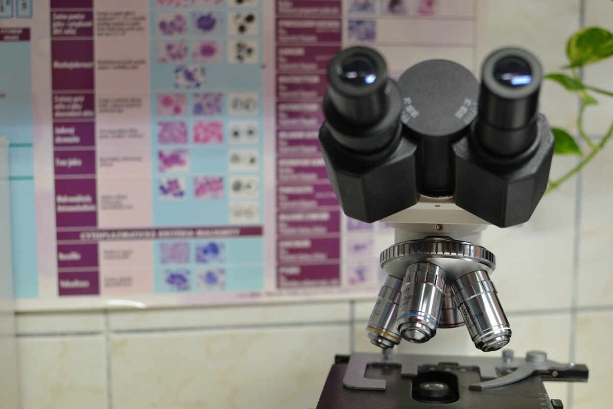 Veterinární klinika OK-VET